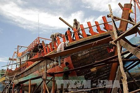 Cà Mau phê duyệt cho vay đóng mới 71 tàu theo Nghị định 67